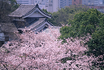 福岡城跡
